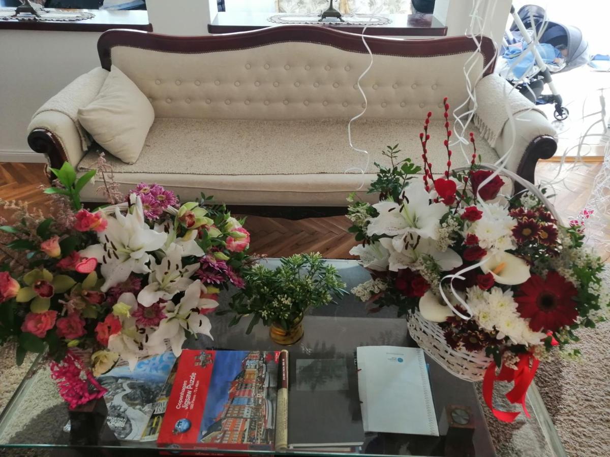 דוני מוריני Villa D'Amore Montenegro מראה חיצוני תמונה